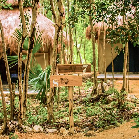 Akumal Natura Glamping Ngoại thất bức ảnh