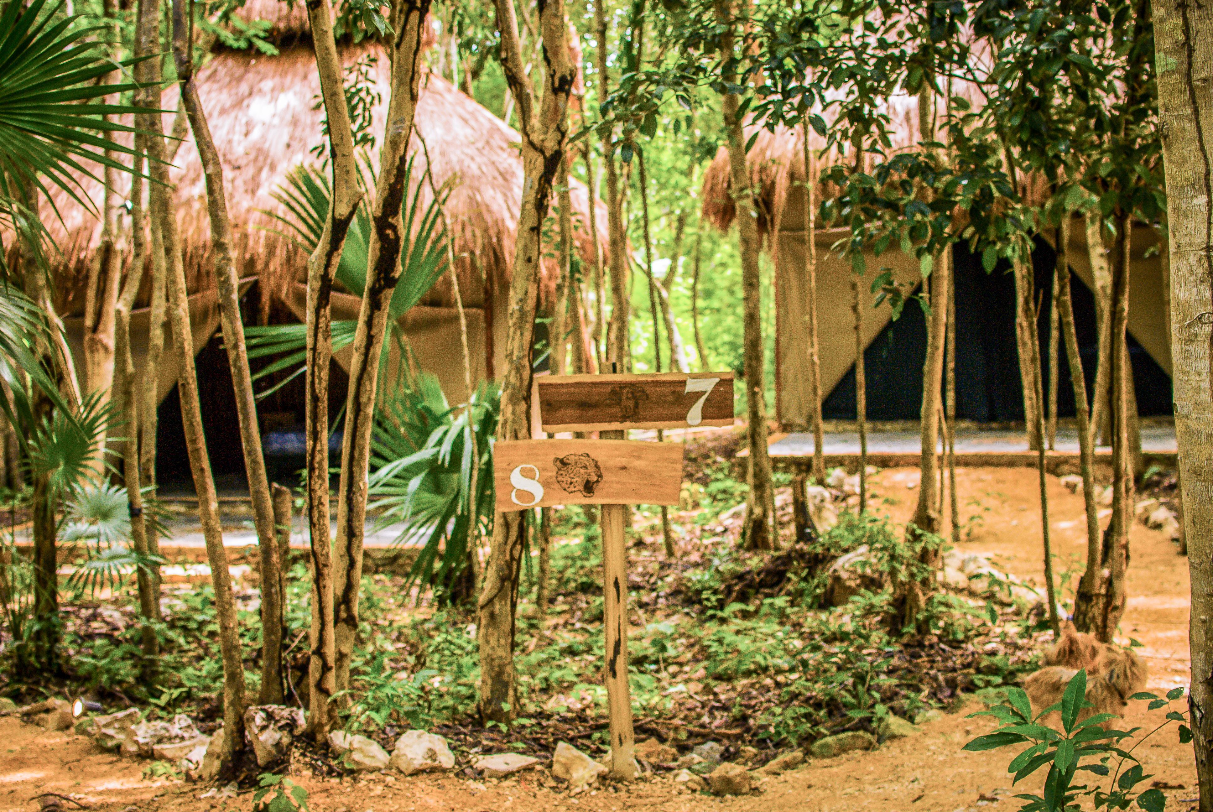 Akumal Natura Glamping Ngoại thất bức ảnh